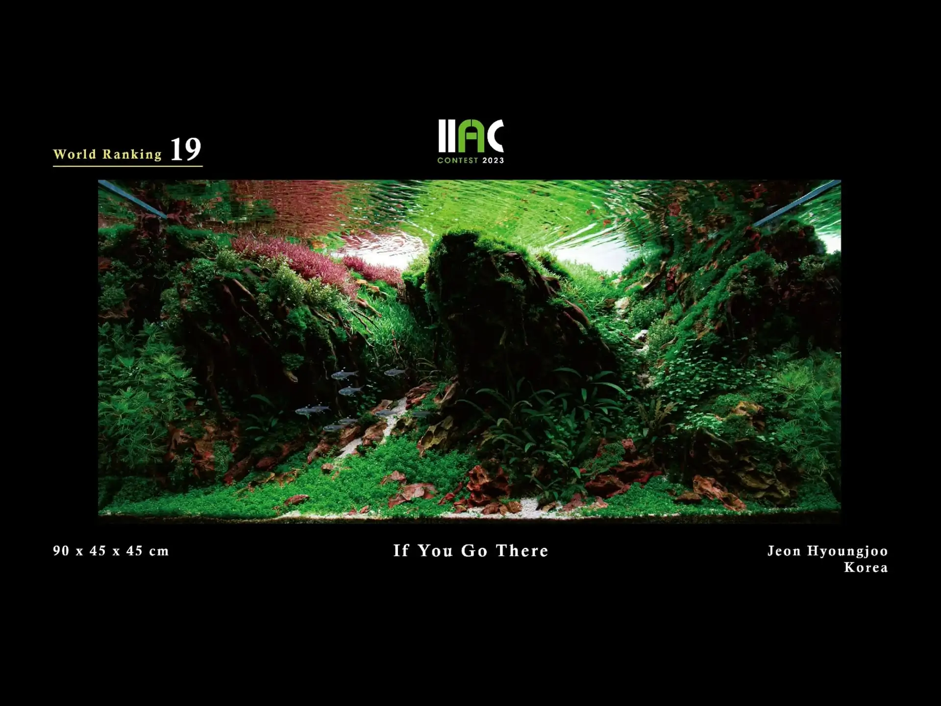 If You Go There - IIAC 2023 #19 Jeon Hyoungjoo / South Korea